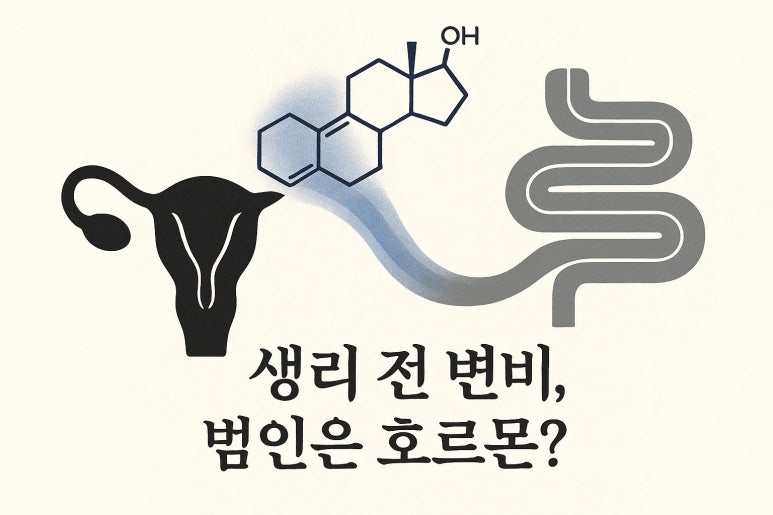 평소엔 괜찮다가 왜 생리 때만 되면 변비가 생길까? | 인천 변비