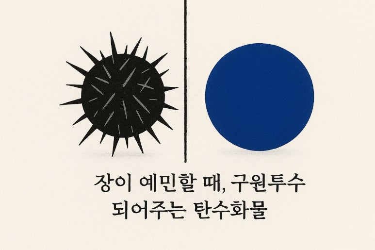 건강식이라 믿었던 현미밥, 왜 먹을수록 속이 불편했을까?