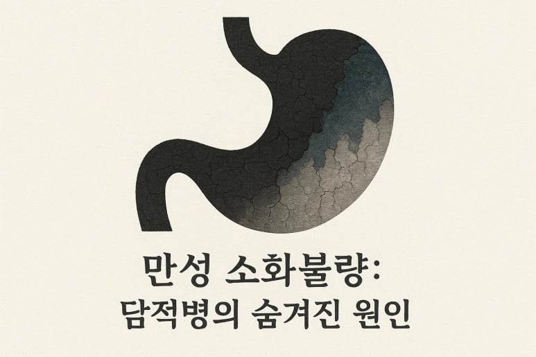 담적병 내과? 한의원? 어디 병원에 가야할까?