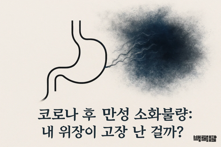 “뭘 먹어도 속이 더부룩해요” | 코로나 후유증 30대 여성의 소화불량
