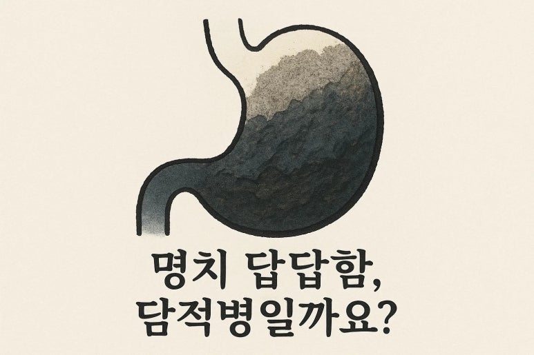 담적병에 좋은 음식 정리해봅니다