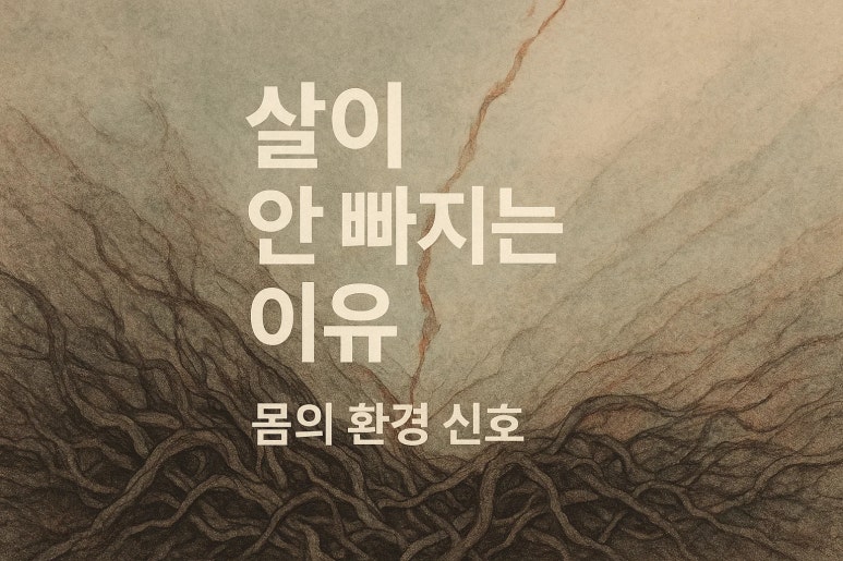 아무리 노력해도 체중이 그대로, 대체 왜 그럴까요? | 살이 잘 안빠지는 이유