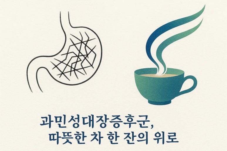 과민성대장증후군 차, 도움이 될까요?