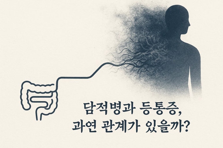 담적병 등통증 자주 동반되는 이유