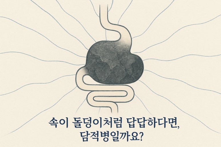 담적병 자가진단? 혹시 당신의 이야기인가요?