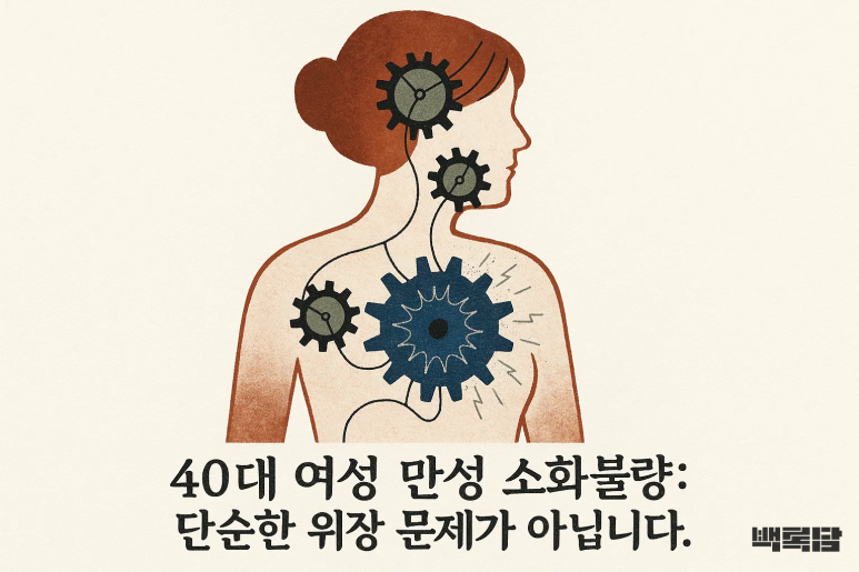“늘 속이 더부룩하고 답답해요” | 40대 여성의 만성 소화불량