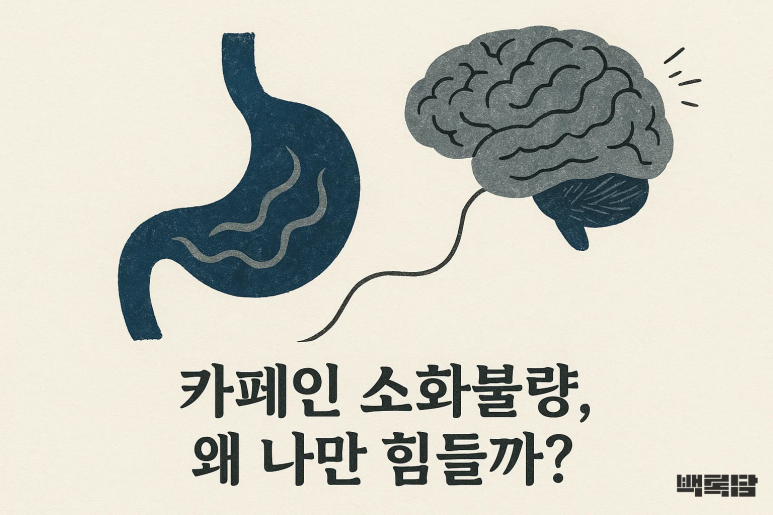 “커피만 마시면 속이 너무 불편해요” | 30대 여성의 카페인 소화불량