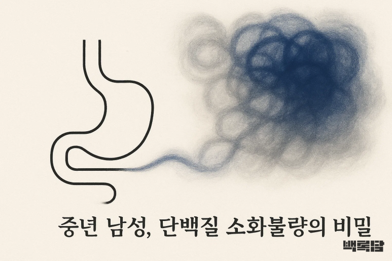 “고기만 먹으면 속이 더부룩해요” | 50대 남성의 단백질 소화불량
